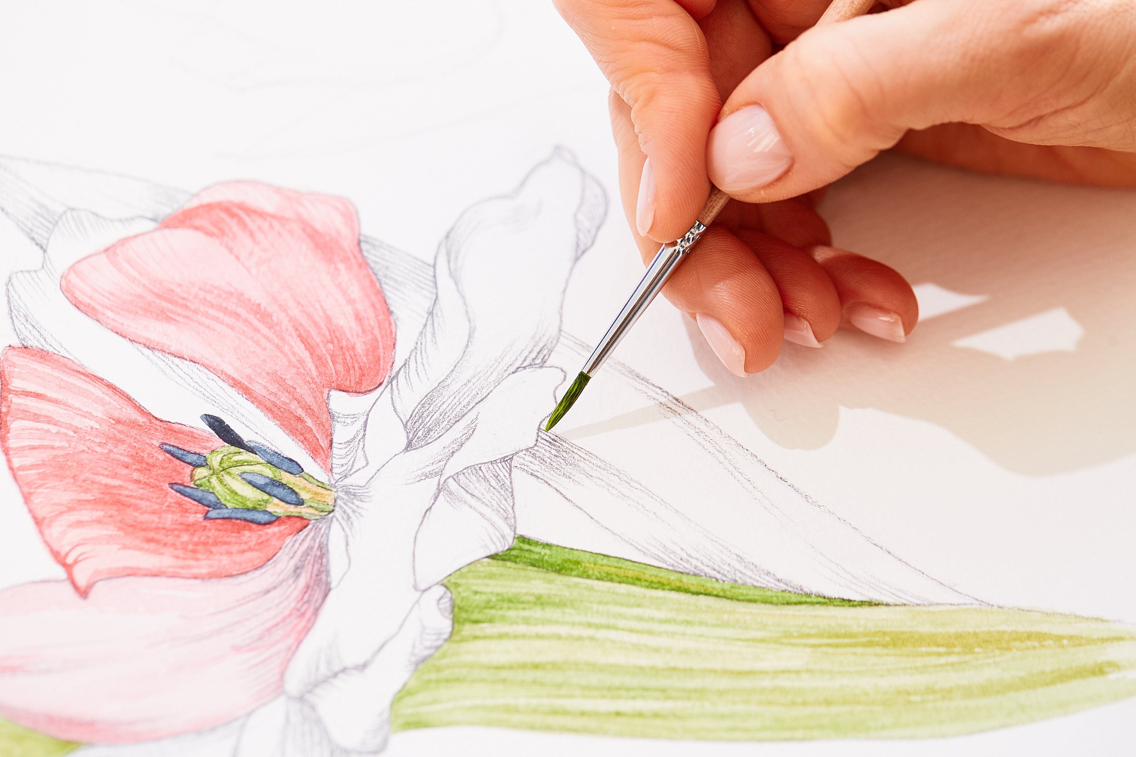 woman-is-painting-tulip.jpg