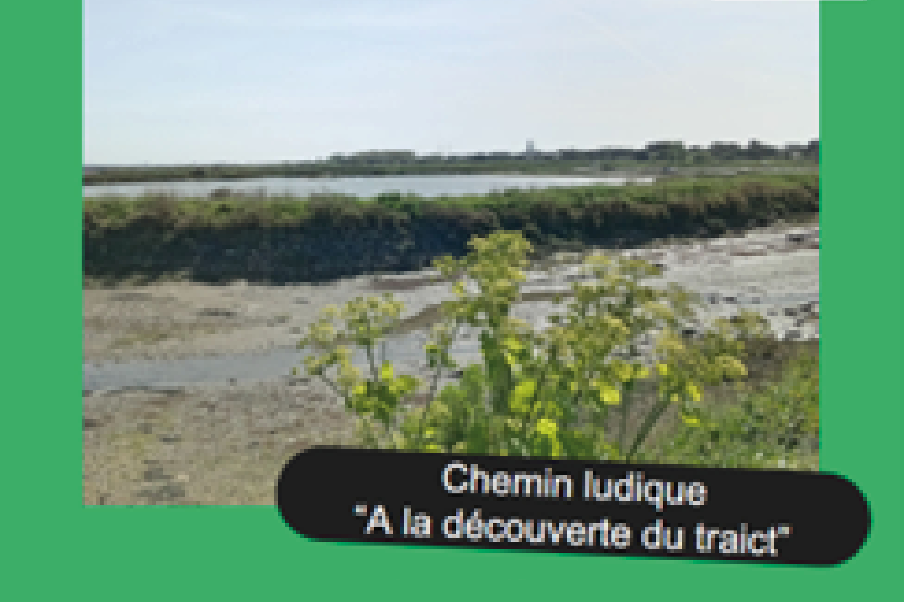 chemin.jpg
