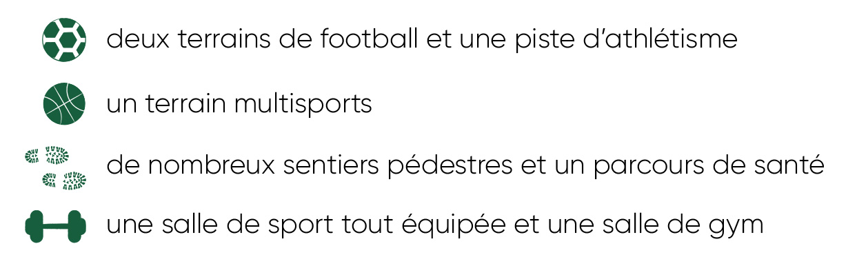 sport2.jpg