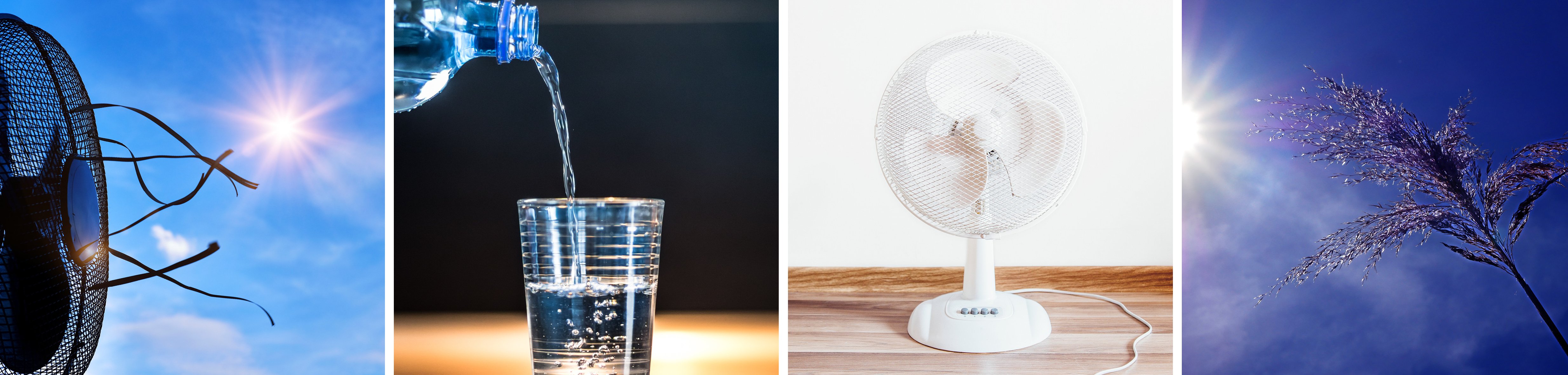 Bandeau - Site internet - canicule.jpg
