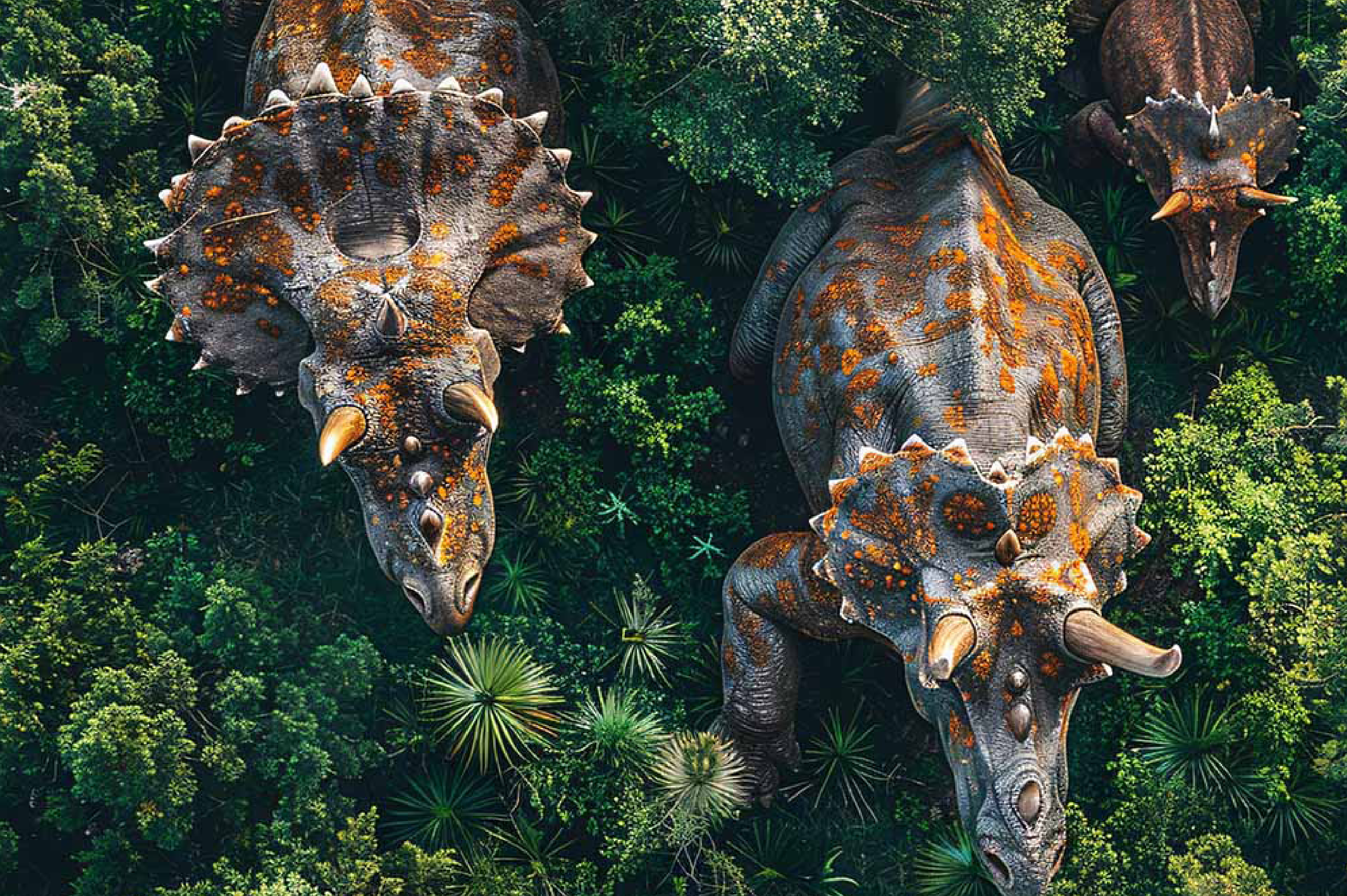 dinosaure3.jpg