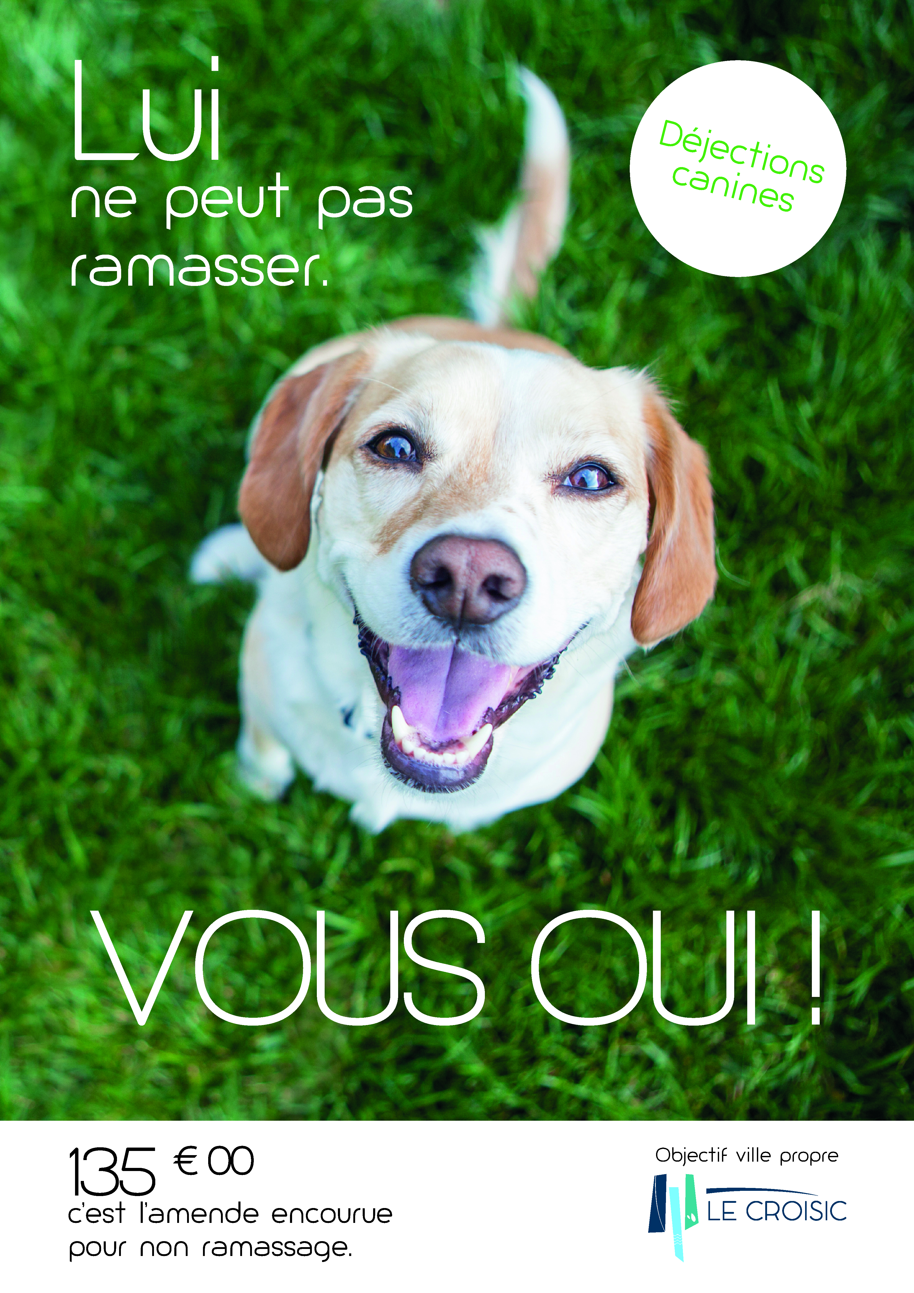 Déjections canines - Affiches sensibilisation.jpg