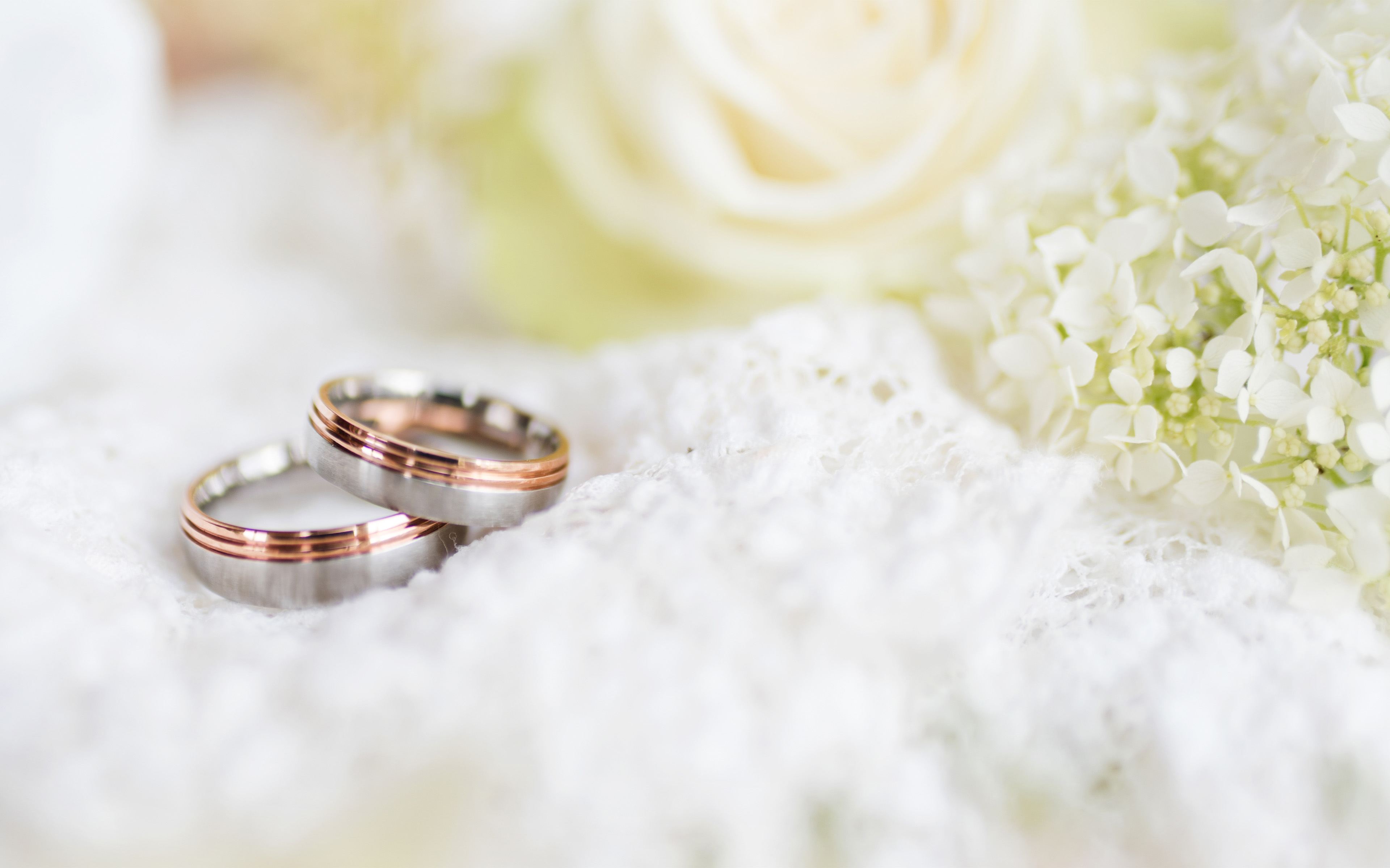 mariage pacs.jpg