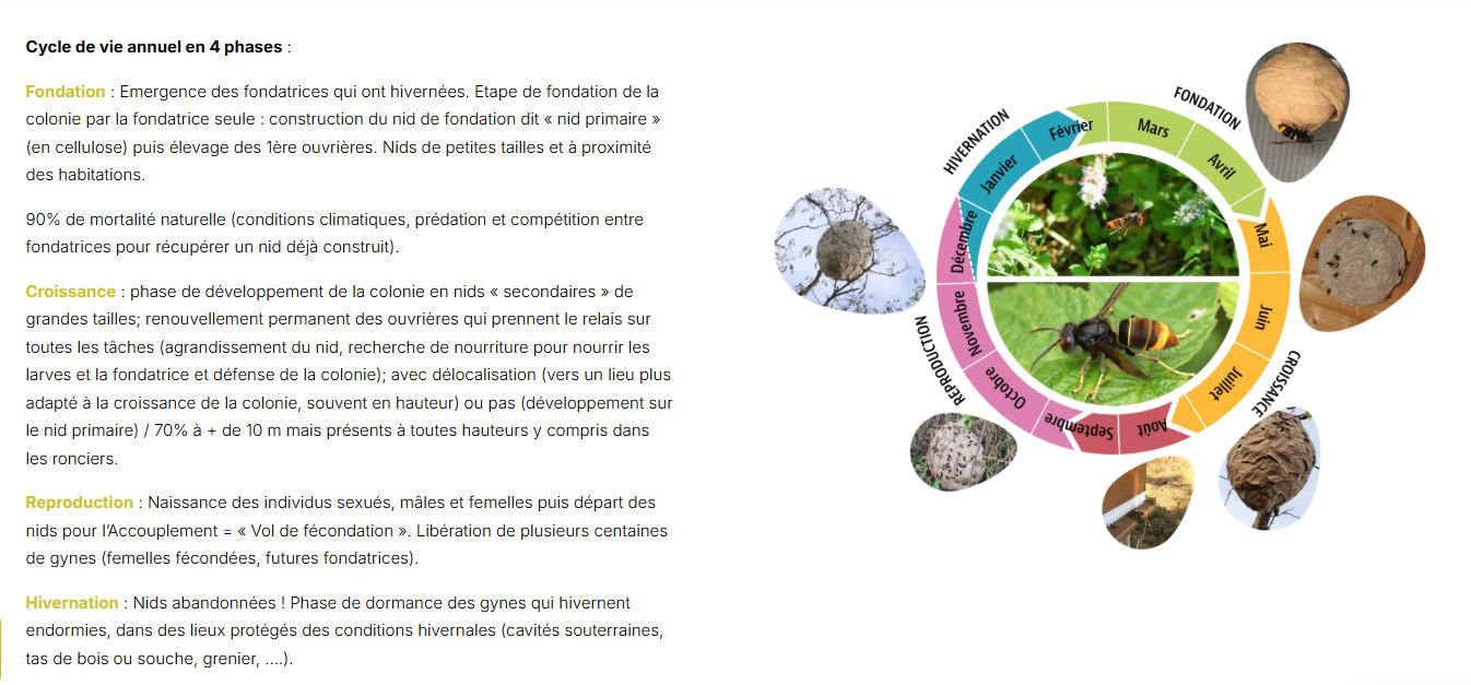 Capture d_écran 2026-08-13 161312.png