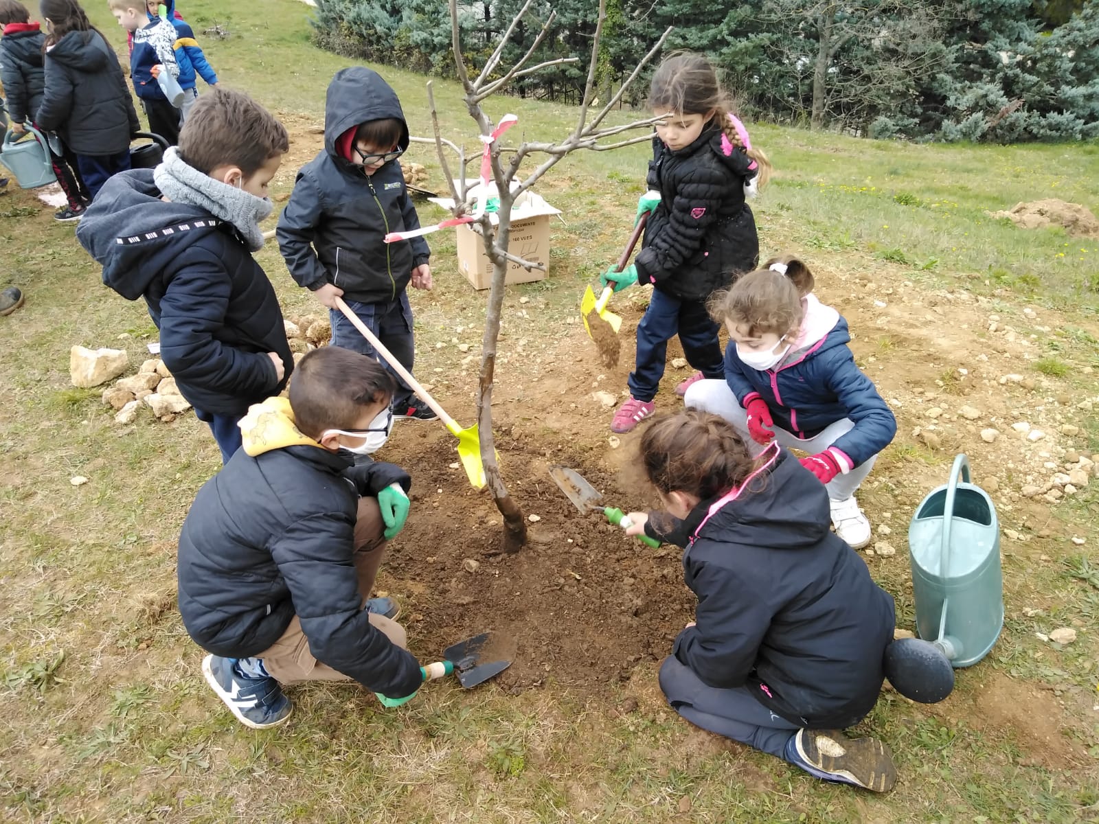 WhatsApp Image 2021-03-16 at 20.14.46 _2_.jpeg