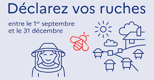 DECLARATION RUCHES 2022.png