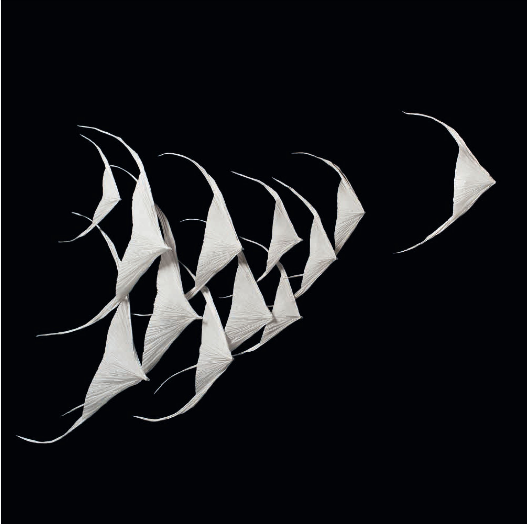 poisson ange - Patricia Gueyrard.jpg