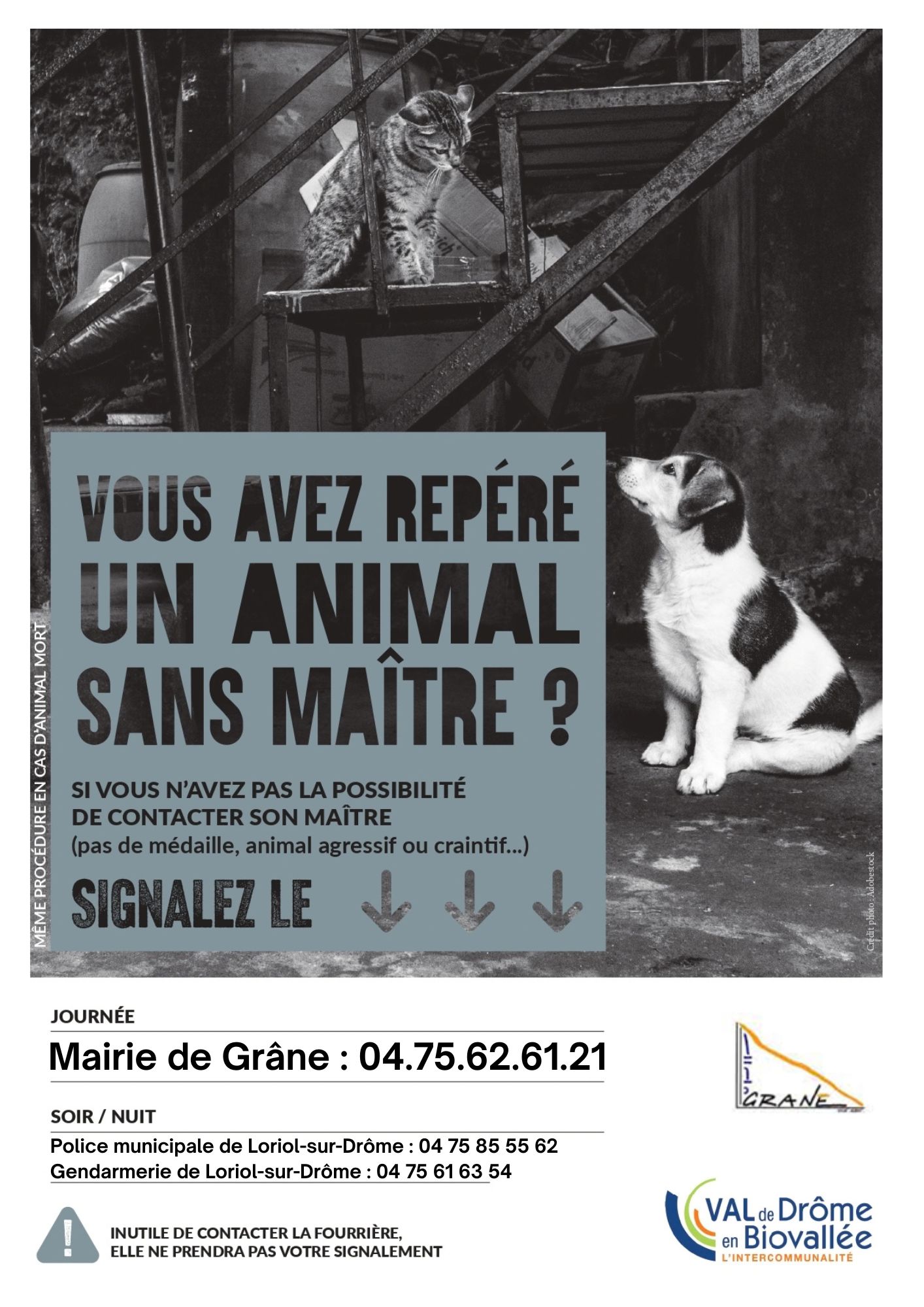 ANIMAUX.jpg