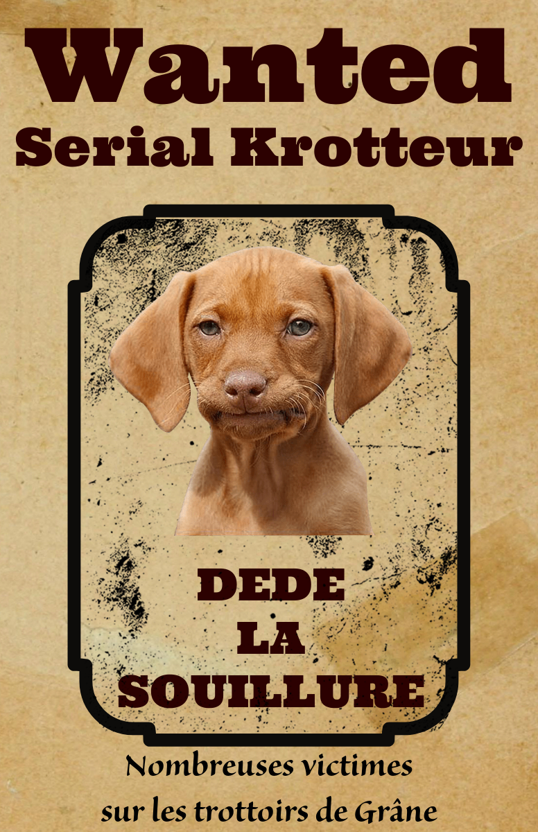 DEDE LA SOUILLURE.png