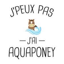 aqua poney.jpg