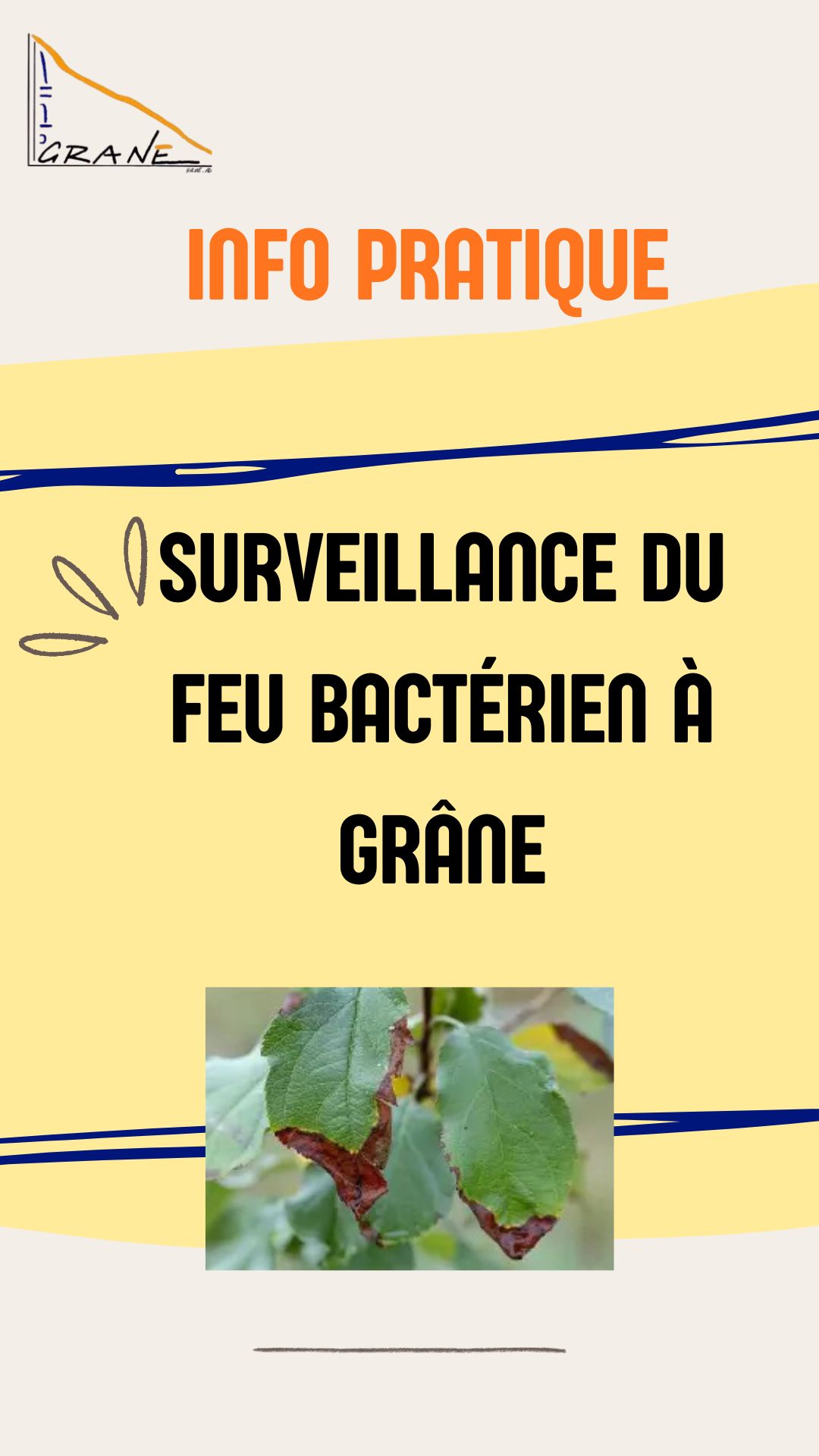 INFO PRATIQUE 1 page Bis _1_.jpg