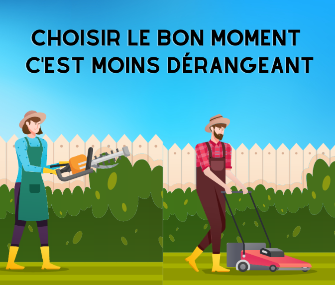tonte et bruit.png