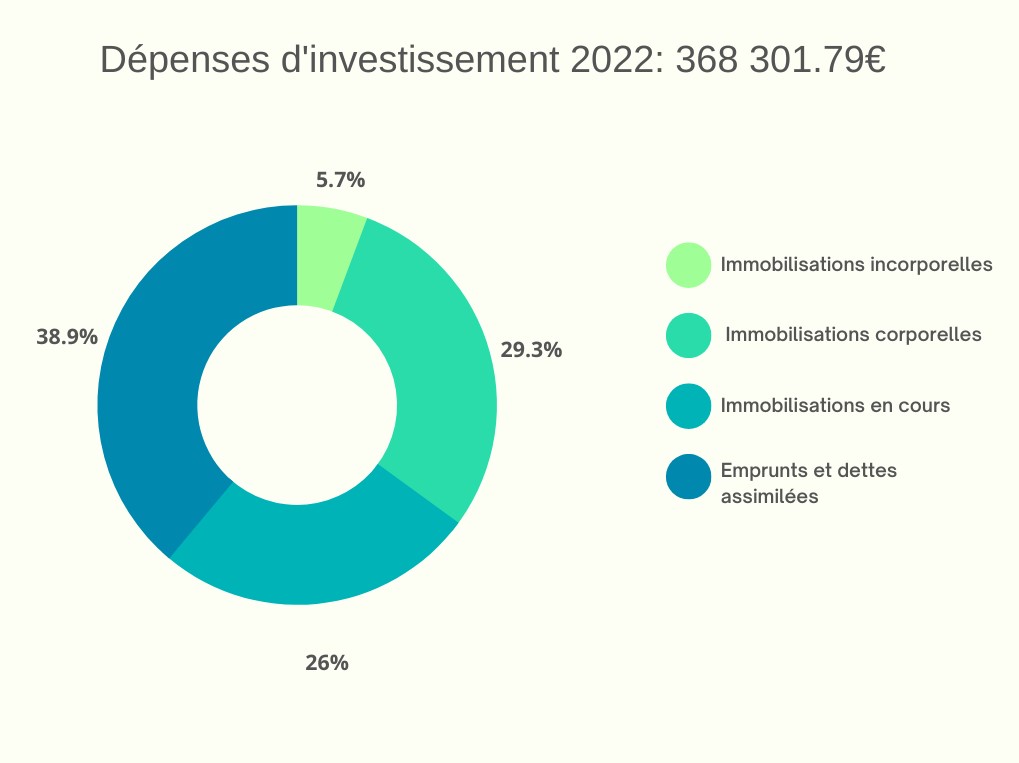 dépenses d_investissement 2022..png.jpg