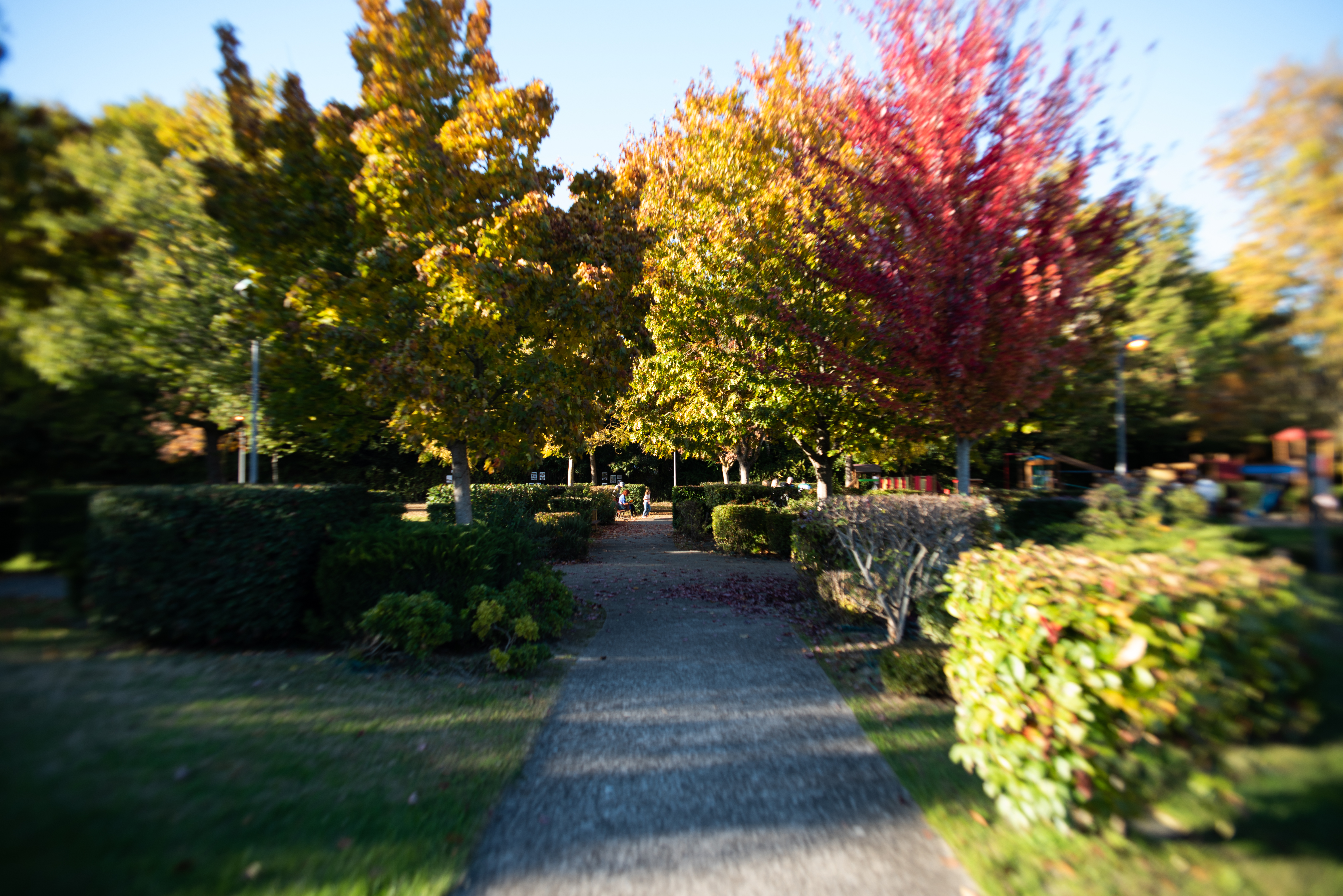 Parc Marie Diu.jpeg