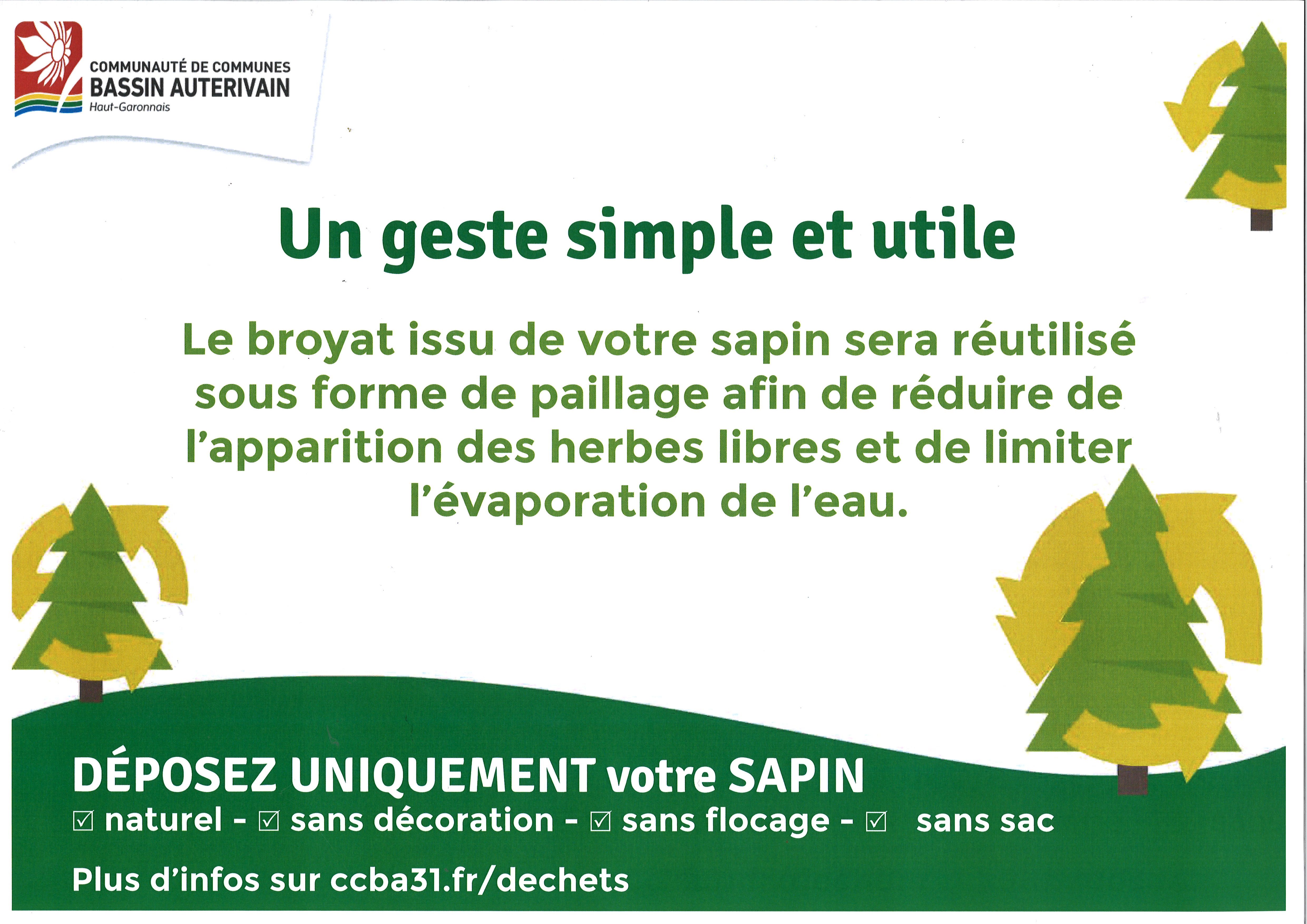 Affiche collecte de sapin 2.jpg