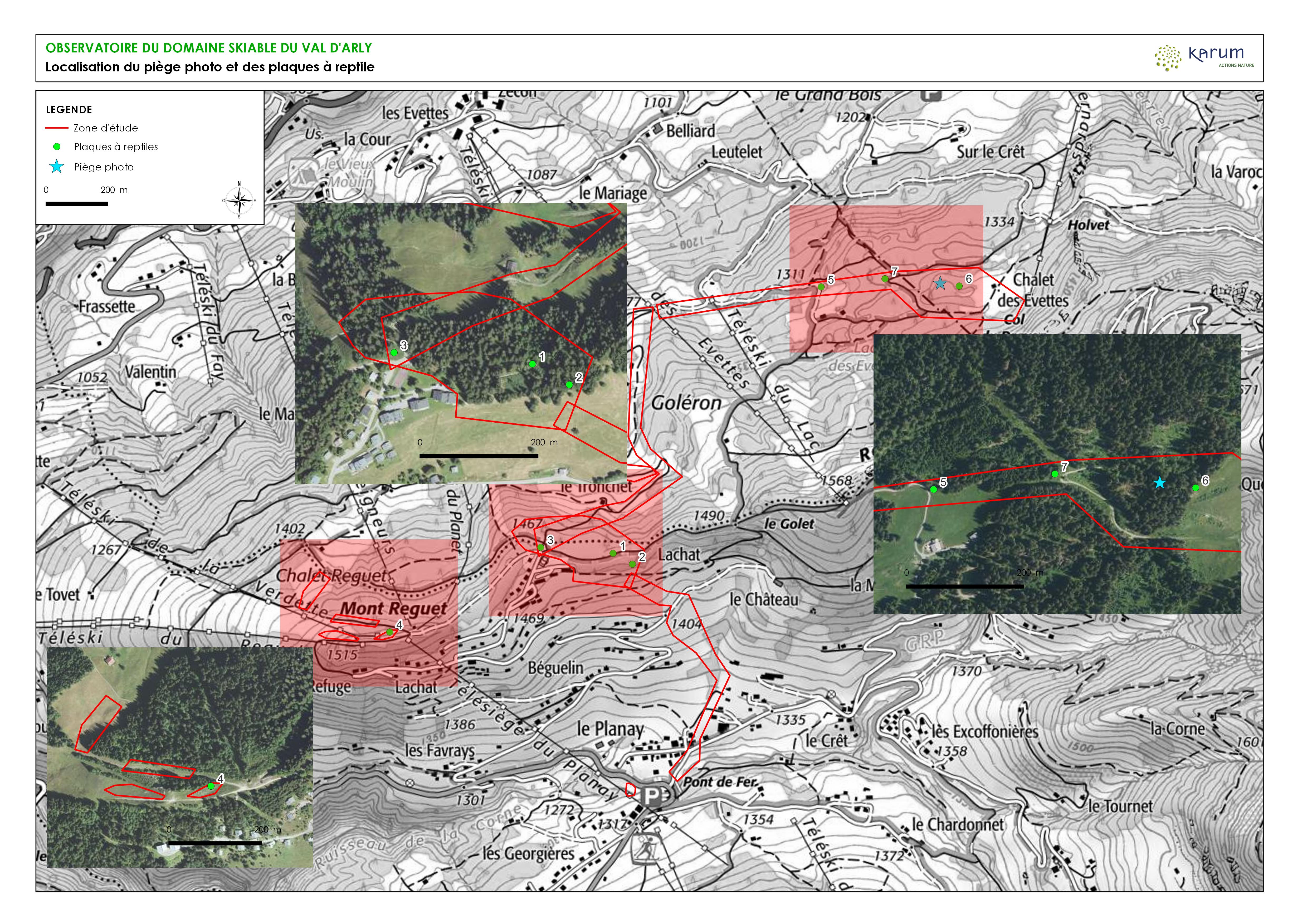 Plan des plaques à reptiles.jpeg