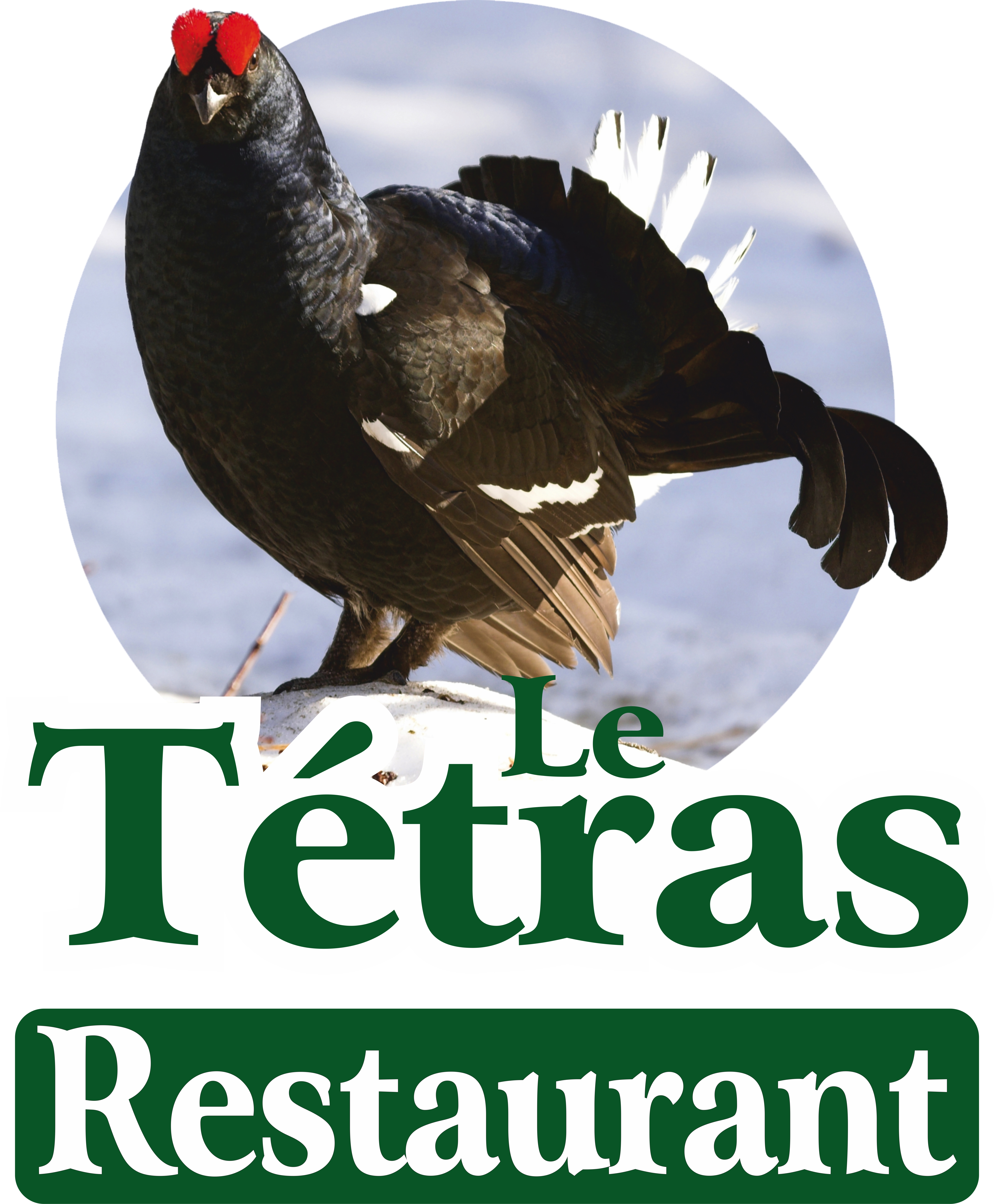 Le Tétras Logo.jpg