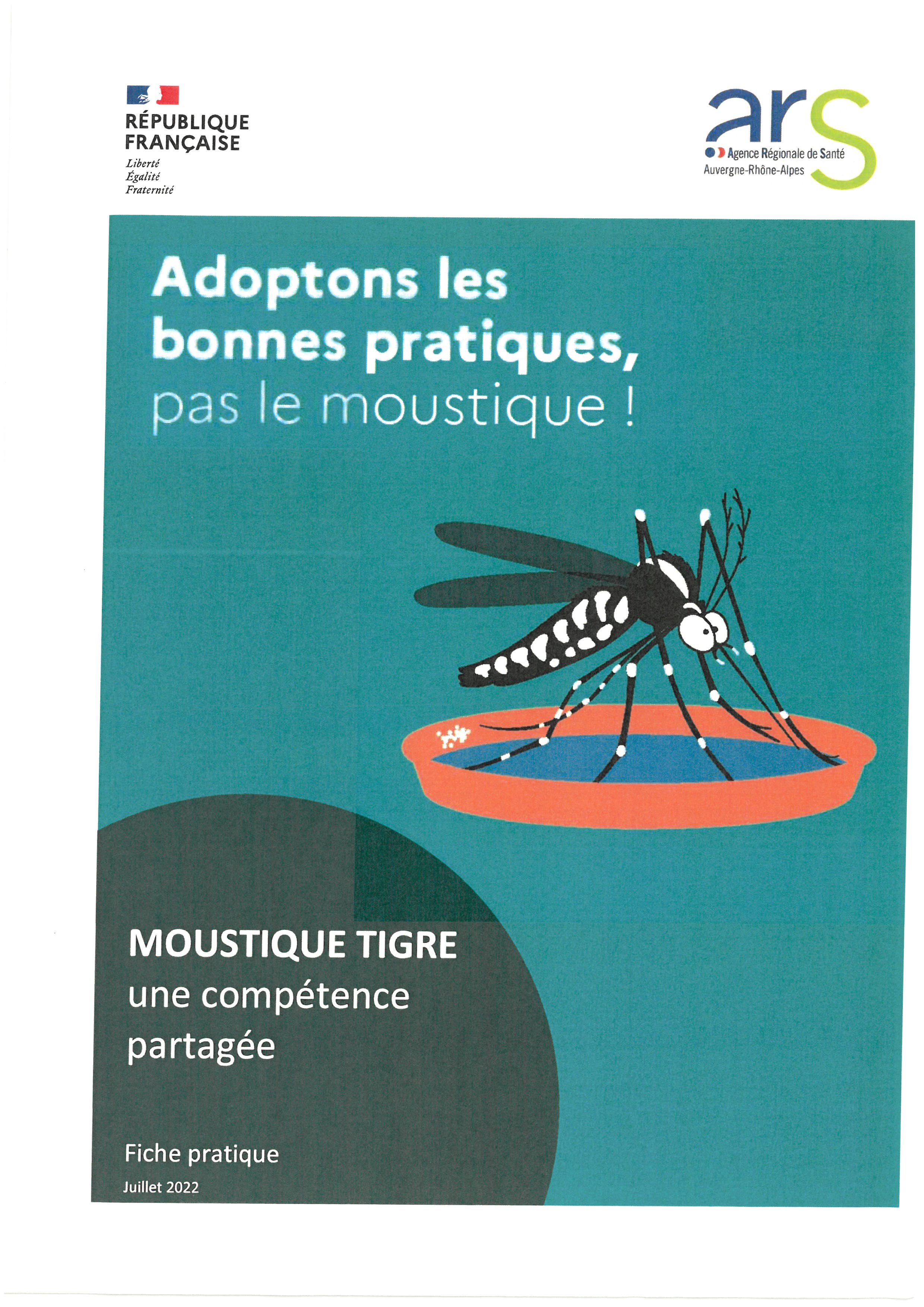 moustique tigre_0001.jpg