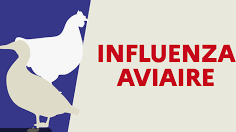 Capture d_écran 2025-10-27 171739.png