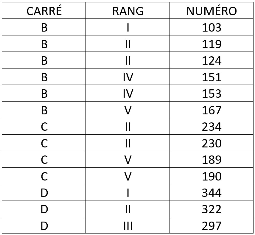 Tableau Cimetiere 2024_07.jpg