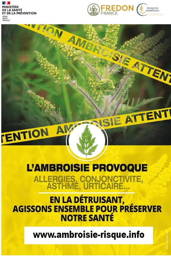 Ambroisie 2025.jpg