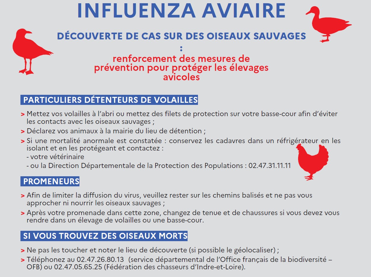 Recommendations oiseaux sauvages 2.jpg