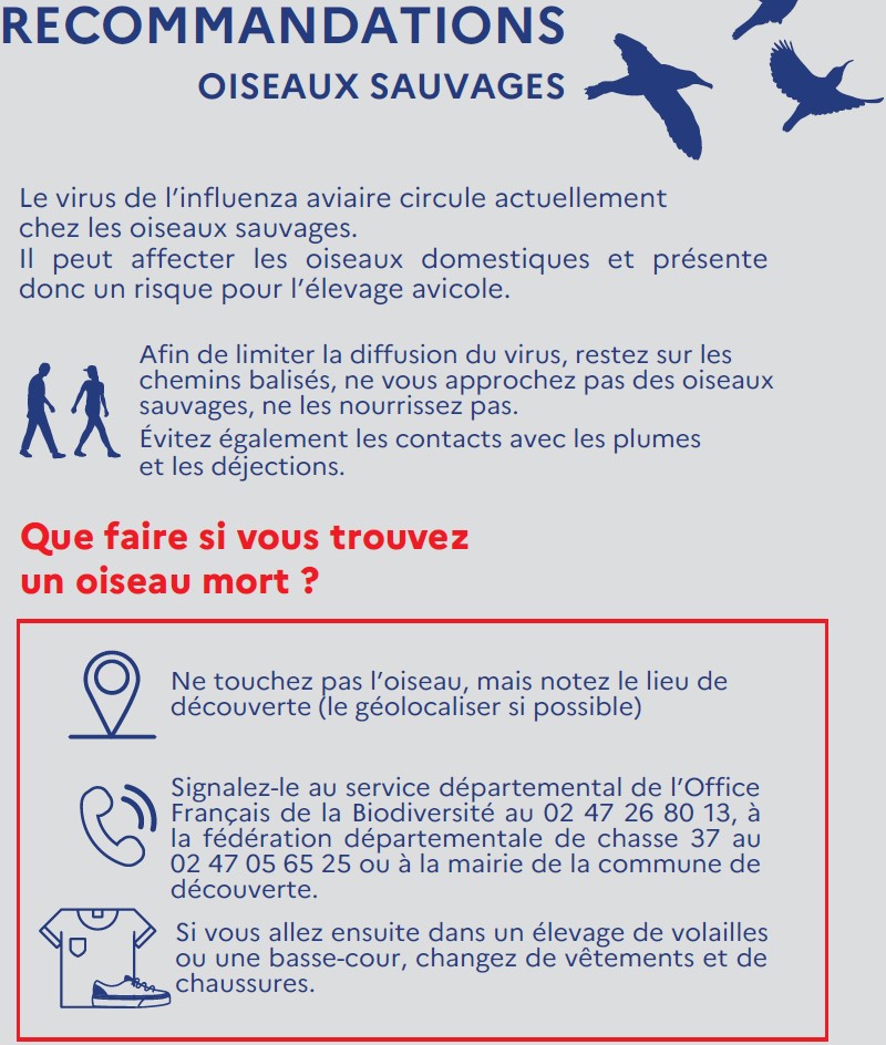 Recommendations oiseaux sauvages 1.jpg