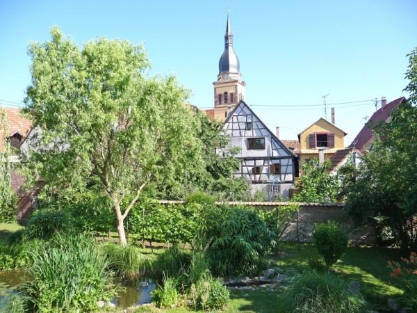 Jardin du presbytère2.jpg