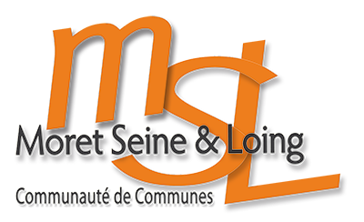 logo CCMSL.png