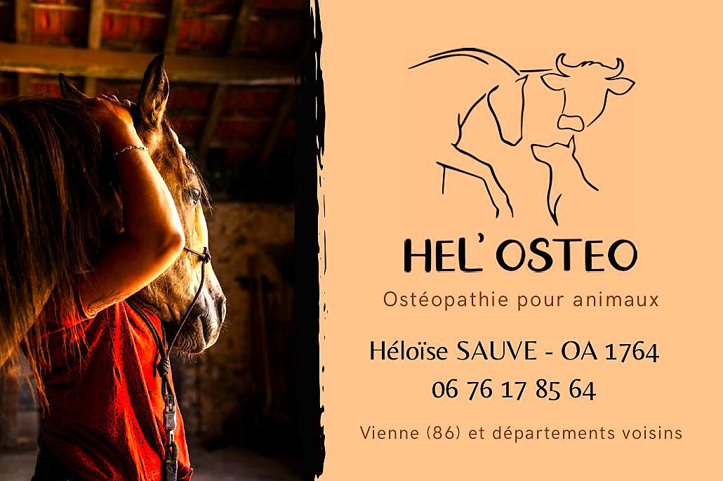 cartes visite Hel_osteo _88.9 x 50.8 mm_ _88 x 58 mm_-images-0.jpg