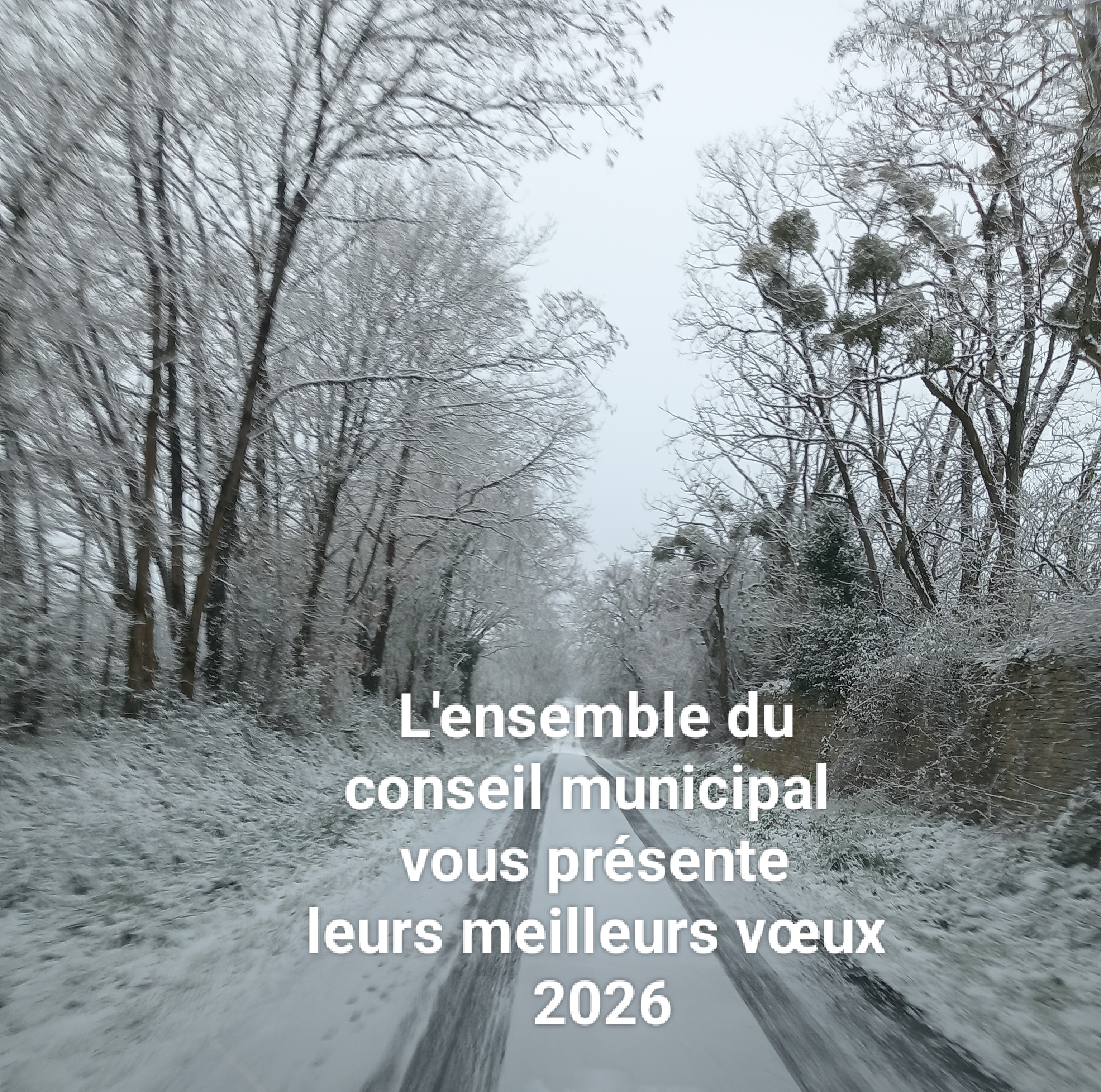 voeux 2026.jpg