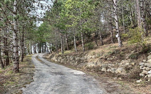 Gite des Collines.jpg