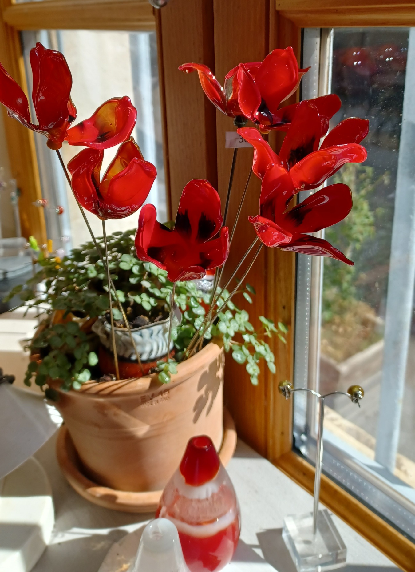 coquelicots 2022 小.jpg