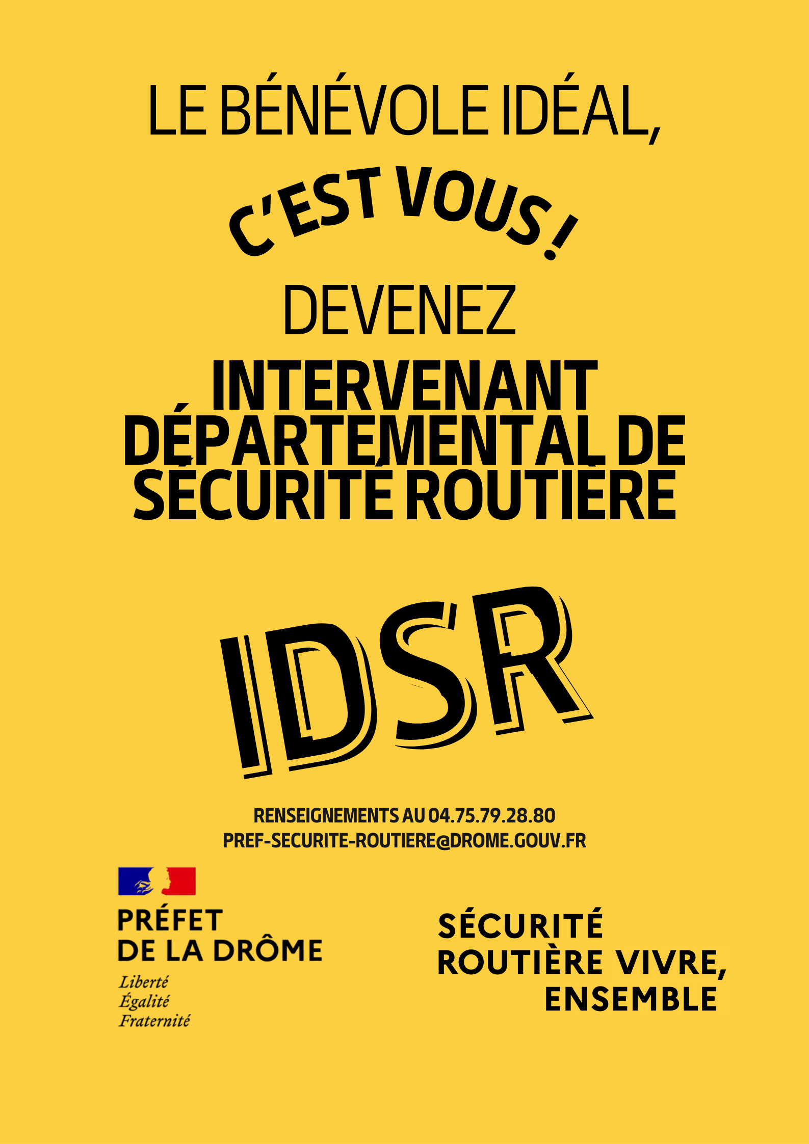 IDSR Affiche pour RS.png