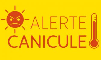 canicule_20622.jpg