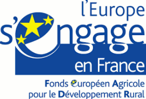 fonds européen.png