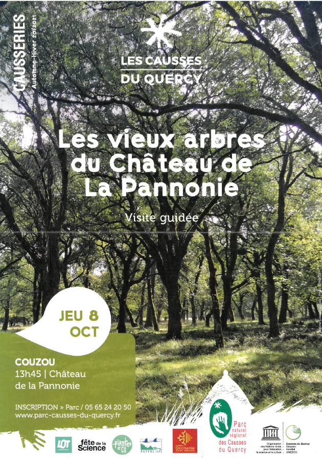 ieux arbres pannonie.png