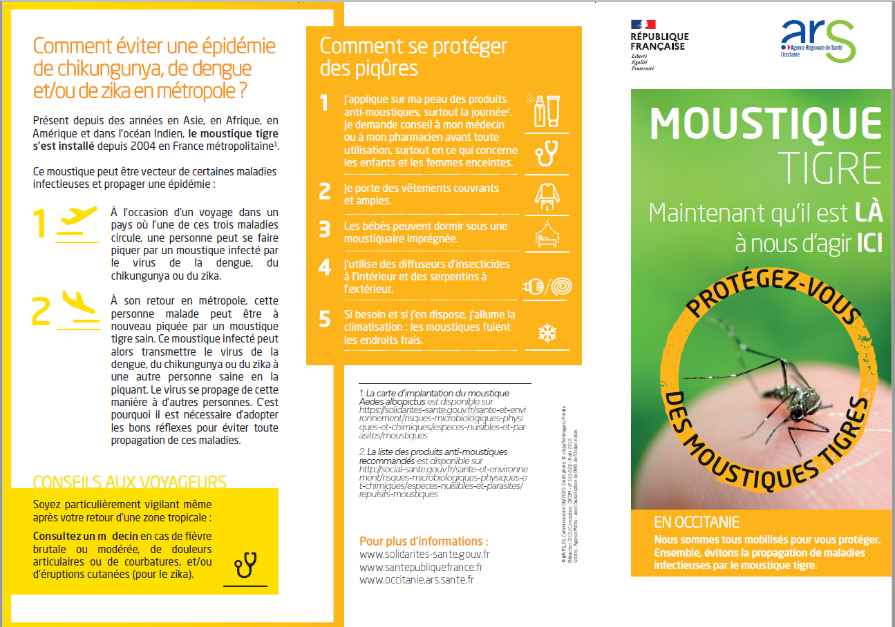 affiche moustique 1.png