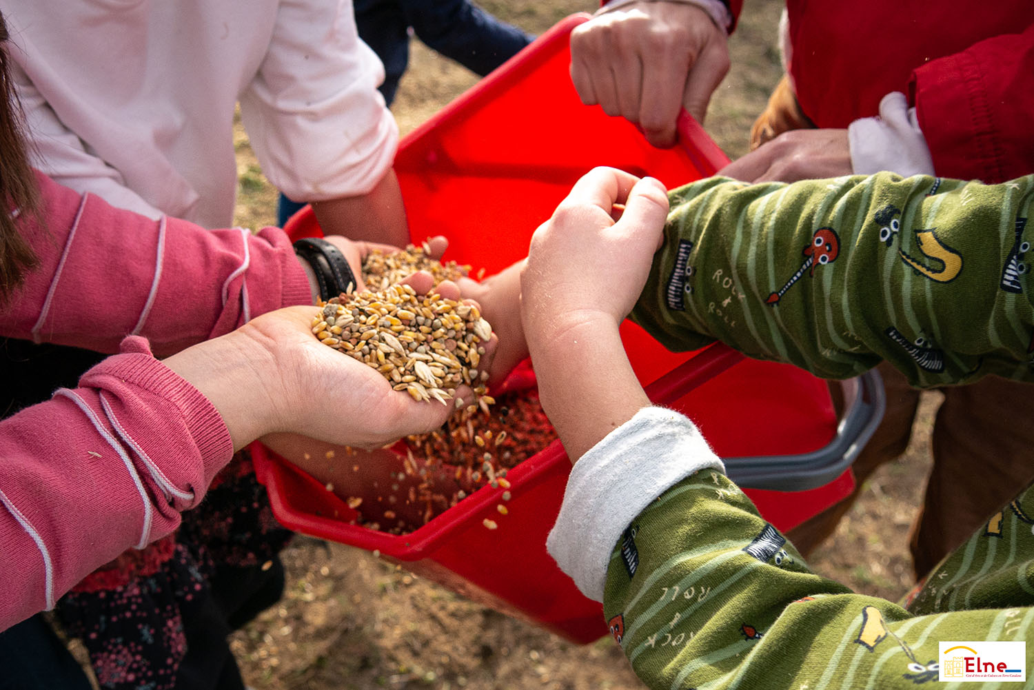 Commune d’Elne Le site de la ville d'Elne