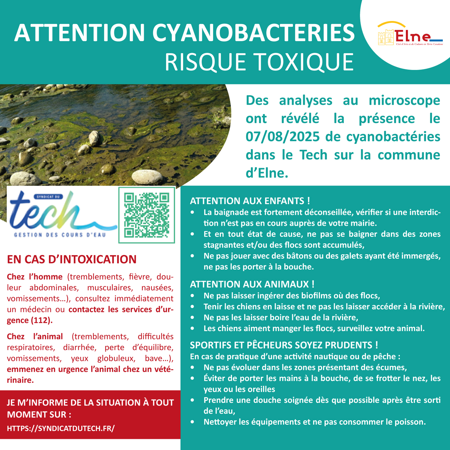 Cyanobactérie.jpg