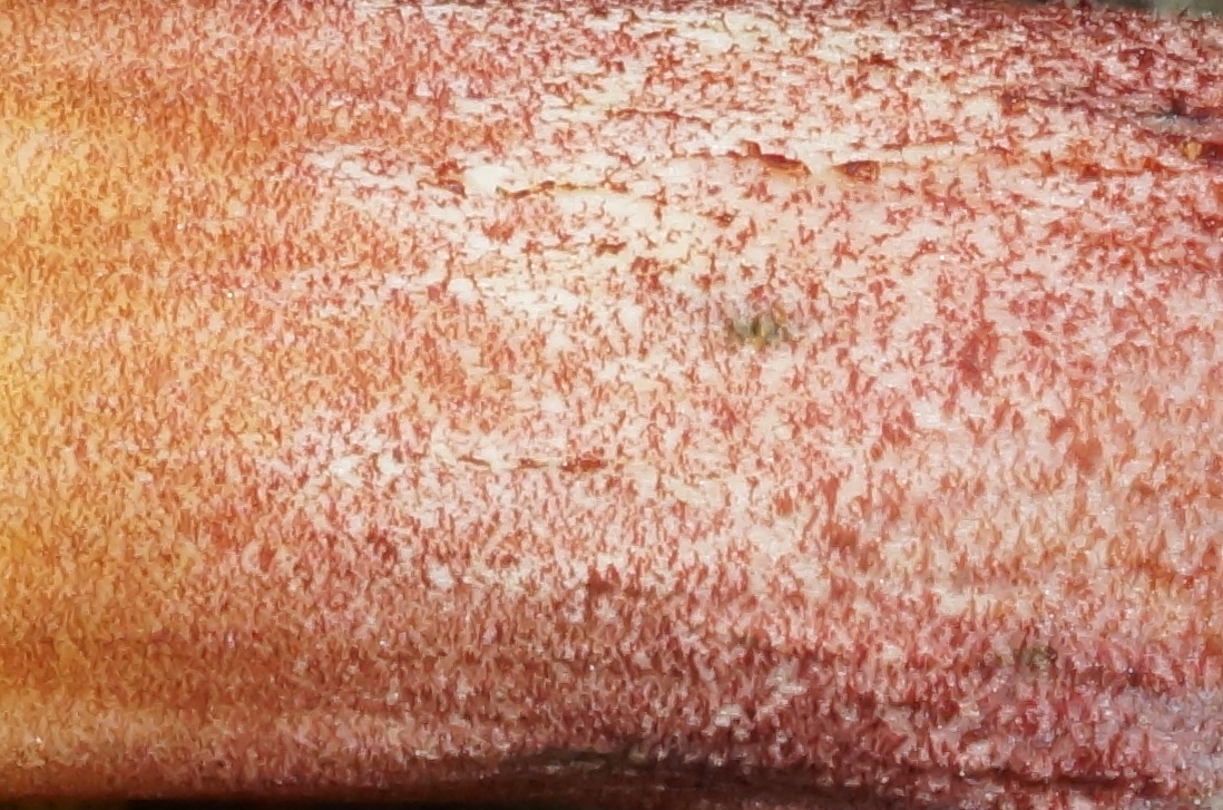 photo mystère 146.JPG