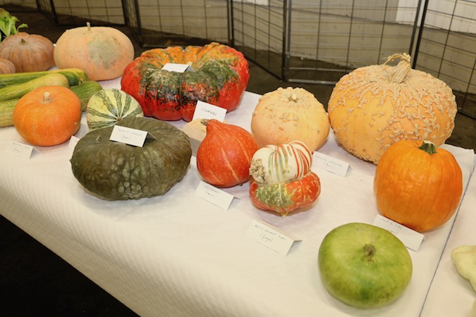 IMG_5789.jpg