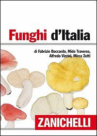 funghi d_italia.jpg