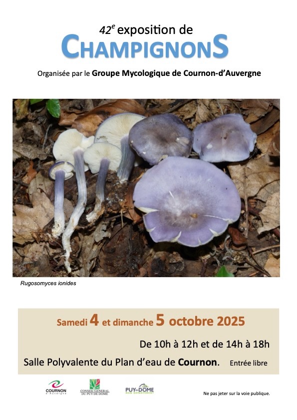 affiche expo 2025.jpeg