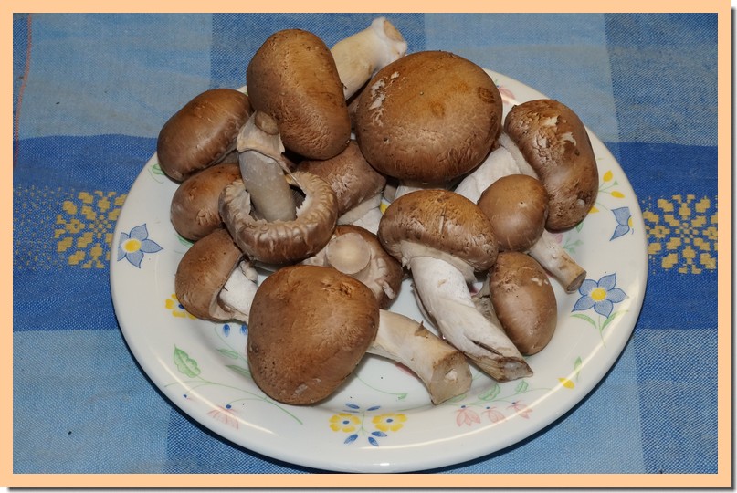 champignons de paris bruns.jpg