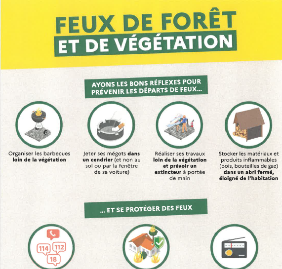 Feux de forêts