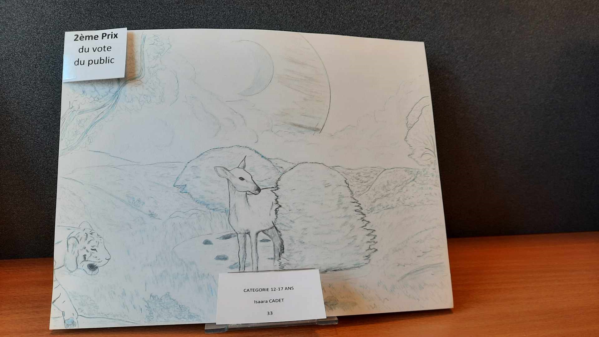 Dessins vote du public 2ème prix.jpg