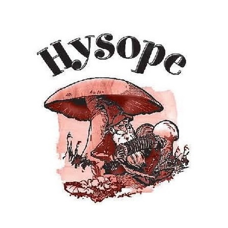 Hysope.jpg