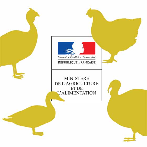aviaire.jpg