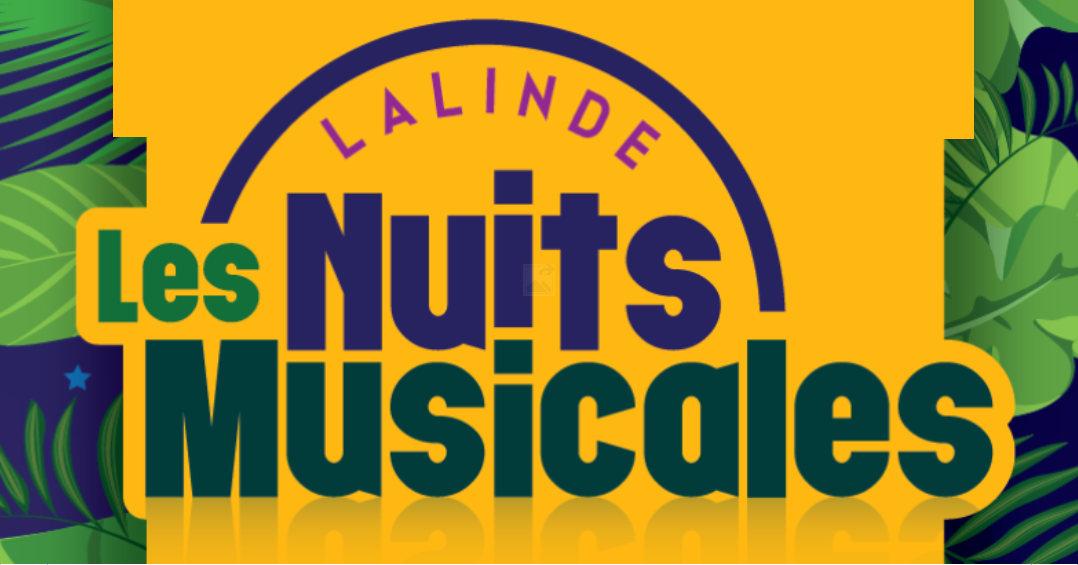 Les Nuits musicales bandeau 2.png